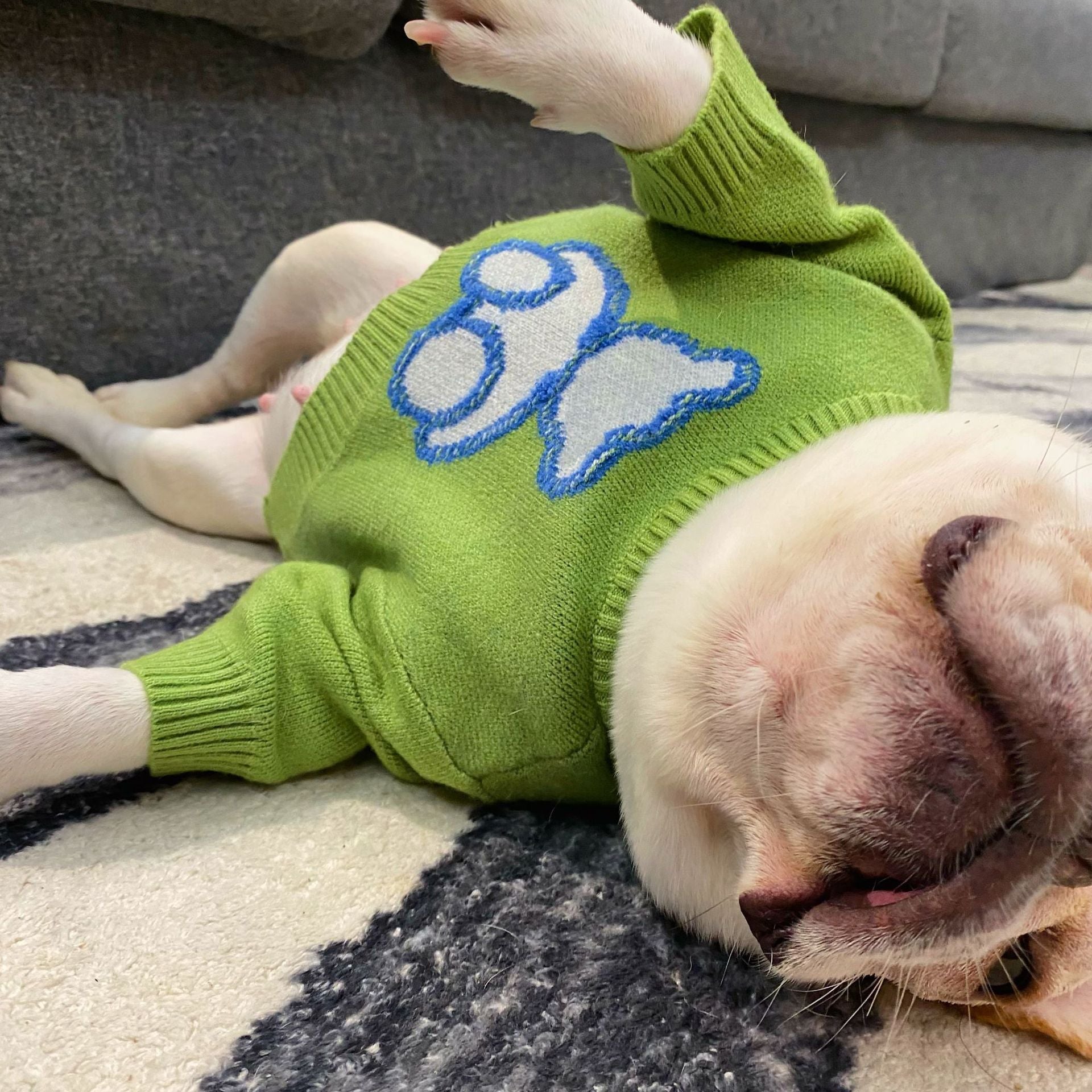 Dog Cat Puppy Fall Winter Sweater