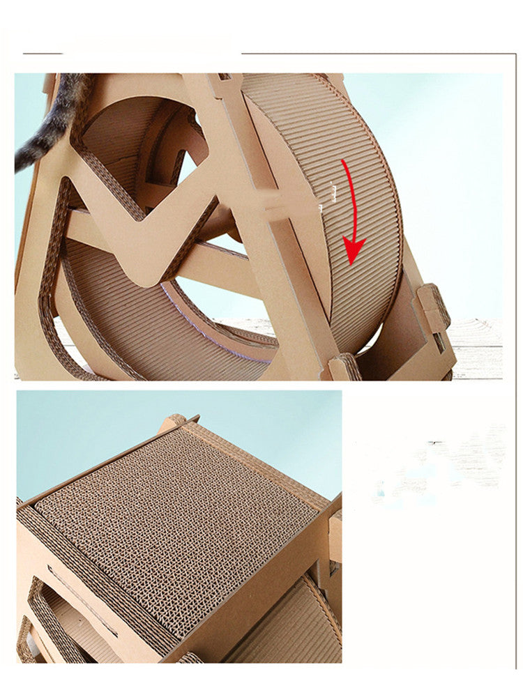 Cat With Roller Dieter Exercise Running Wheel